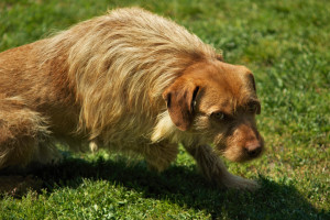 不止实力!鲁内比赛数据折射出的顽强拼搏精神,值得学习!