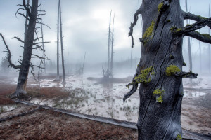 勒布朗的统治时代落幕了吗新老巨星的交锋,谁才是未来之王 勒布朗的统治时代落幕了吗新老巨星的交锋,谁才是未来之王