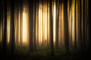 电竞界的“流量密码”这笔转会操作引爆全网! 电竞界的“流量密码”这笔转会操作引爆全网!